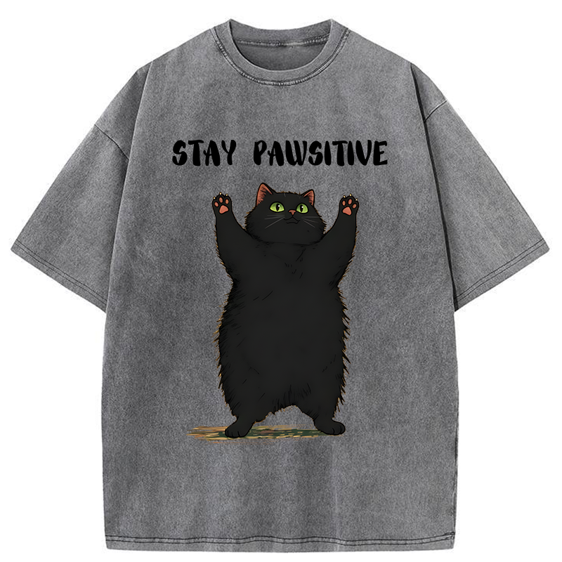 Tokyo-Tiger Cat Stay Pawsitive Washed T-Shirt