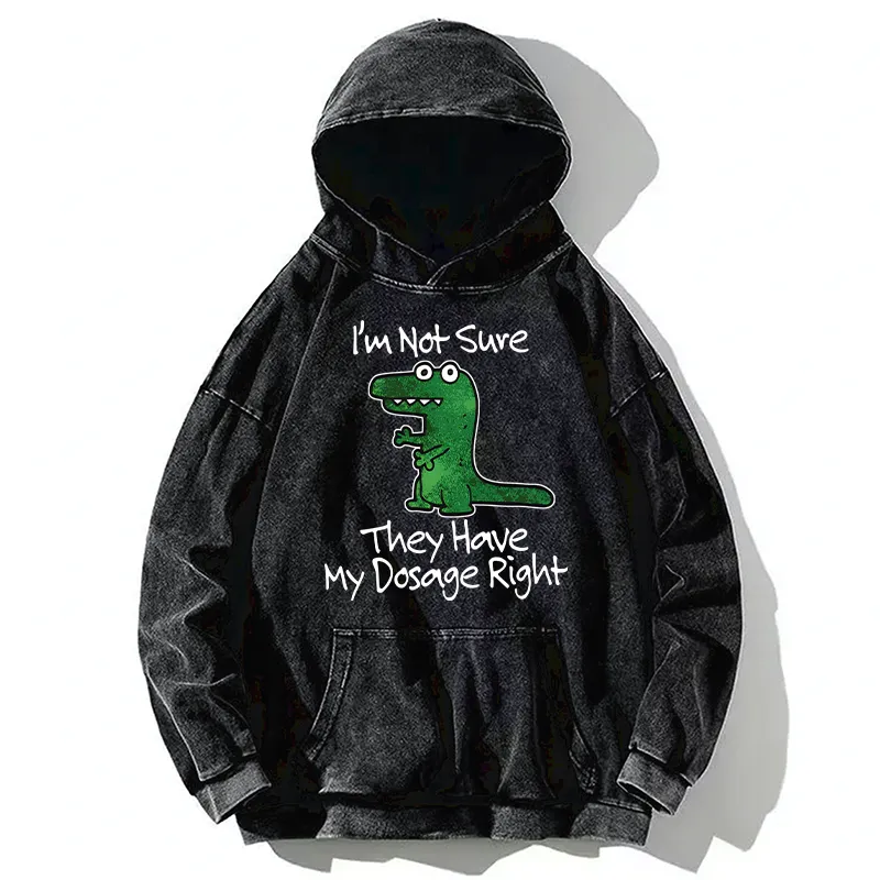 Tokyo-Tiger Dinosaur Meme Sarcastic Ironic Washed Hoodie