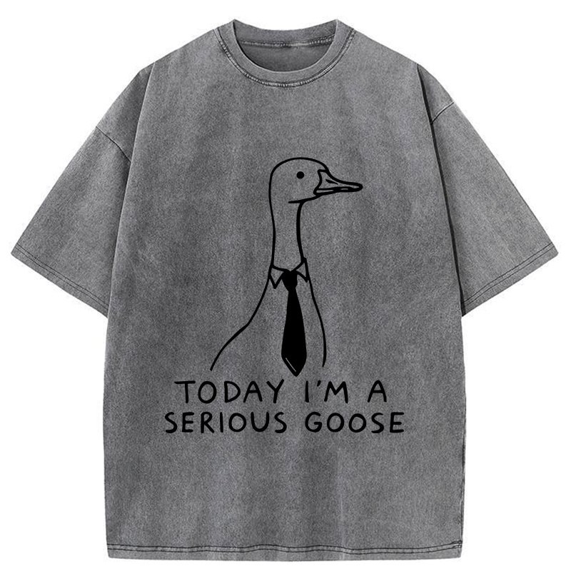 Tokyo-Tiger Serious Goose Funny Washed T-Shirt