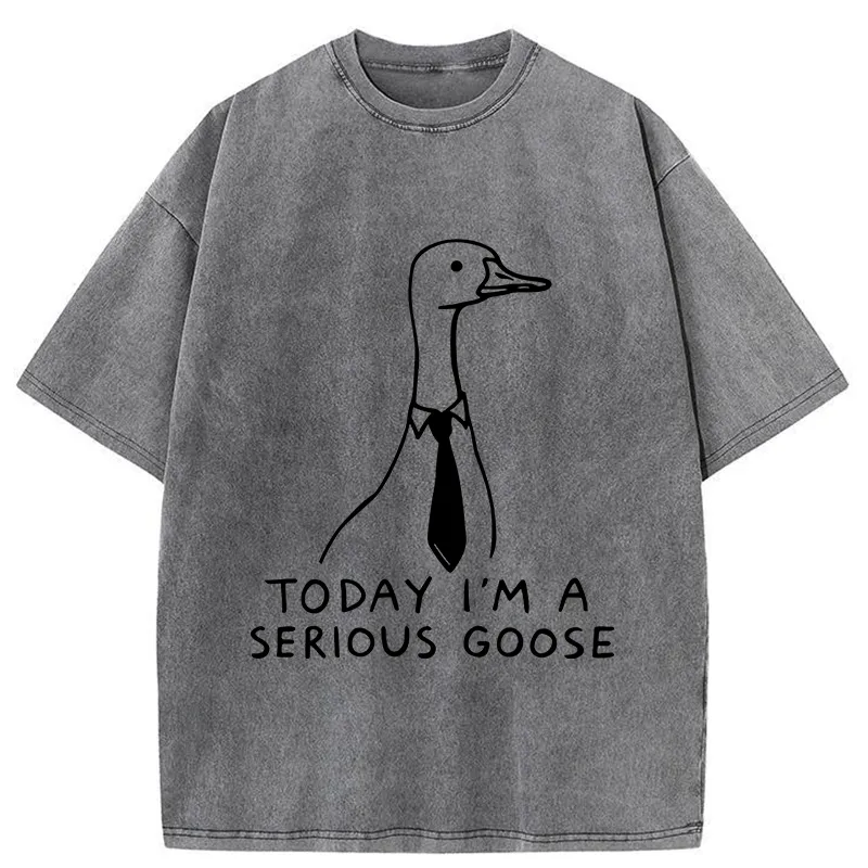 Tokyo-Tiger Serious Goose Funny Washed T-Shirt