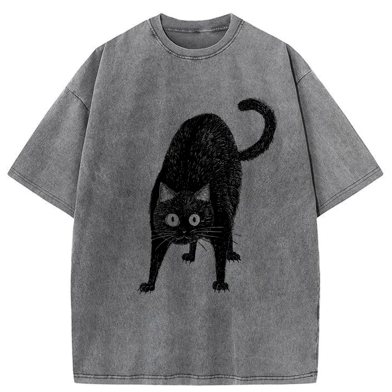 Tokyo-Tiger Alert Cat Washed T-Shirt