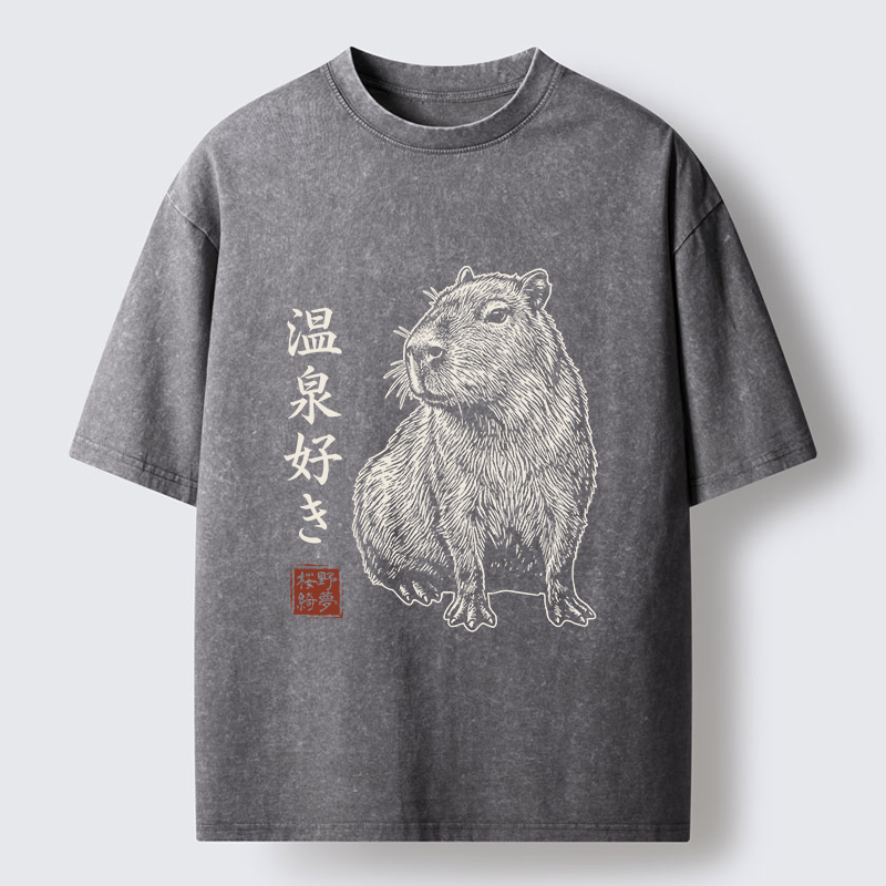 Tokyo-Tiger Hot Spring Enthusiasts Washed T-Shirt