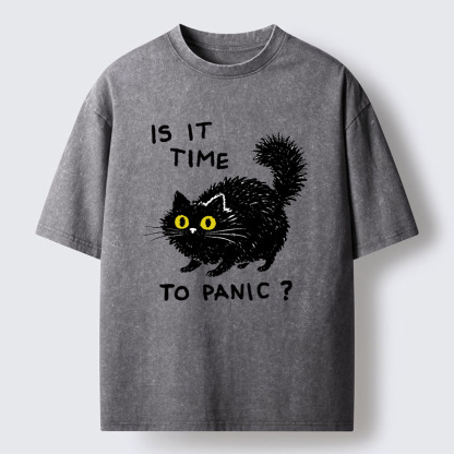 Tokyo-Tiger Is It Time To Panic Washed T-Shirt