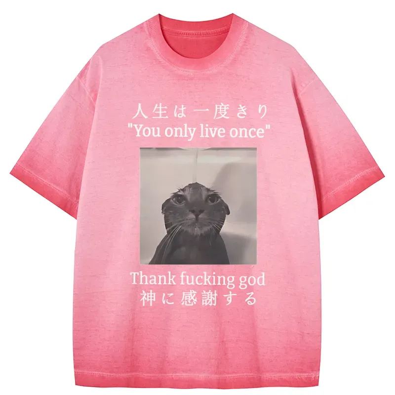 Tokyo-Tiger Funny Melancholy Cat Gradient Washed T-Shirt