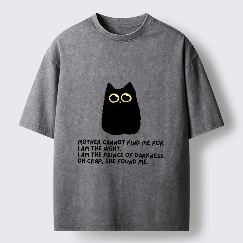 Tokyo-Tiger Playing Hide-and-seek With A Black Cat Washed T-Shirt