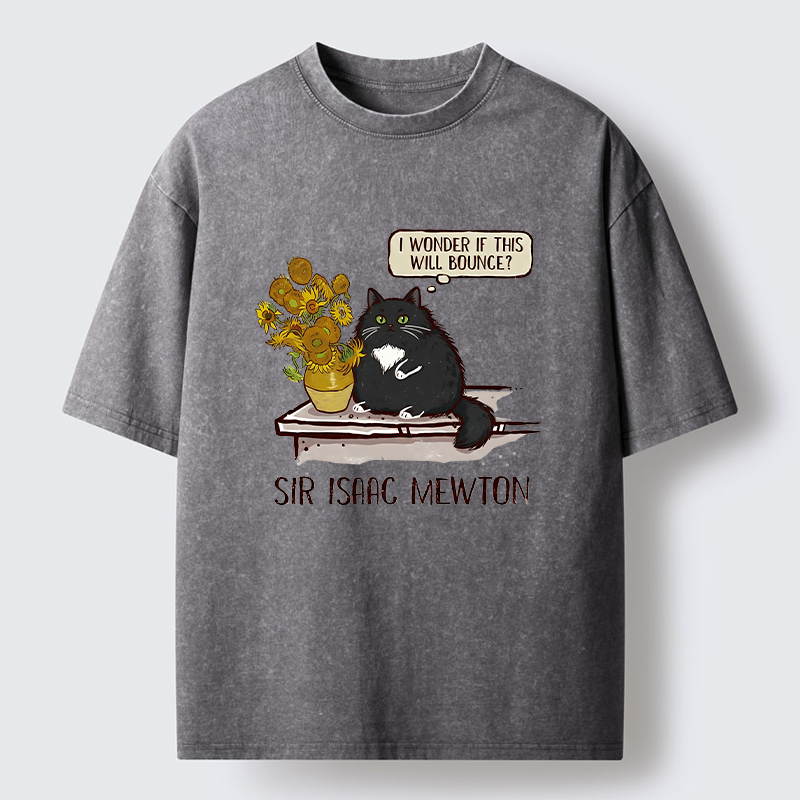 Tokyo-Tiger Cat Wants To Do A Physics Experiment Washed T-Shirt