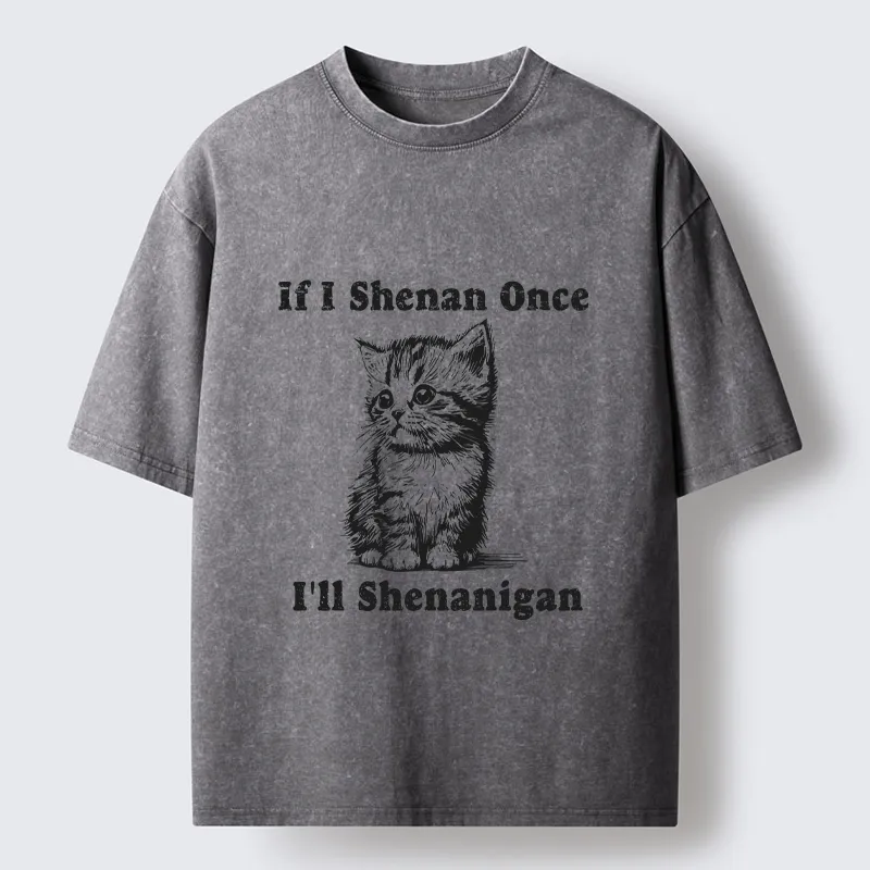 Tokyo-Tiger Saint Patrick's Cat Washed T-Shirt