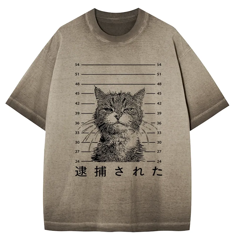 Tokyo-Tiger Cat That Was Arrested Gradient Washed T-Shirt