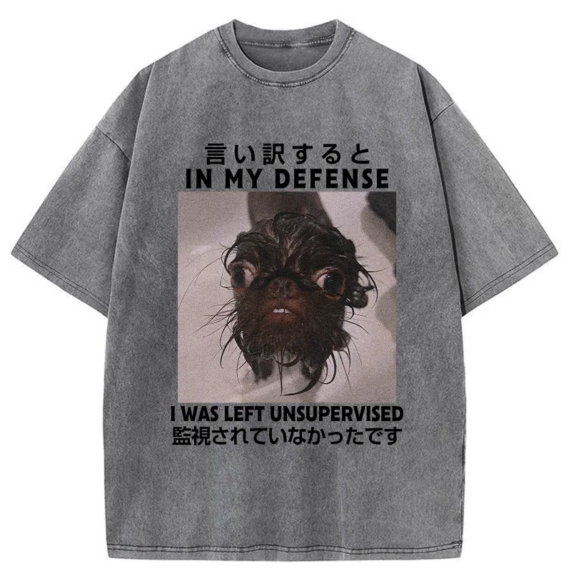 Tokyo-Tiger I Was Left Unsupervised Washed T-Shirt