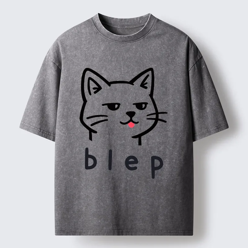 Tokyo-Tiger Naughty Cat Funny Washed T-Shirt