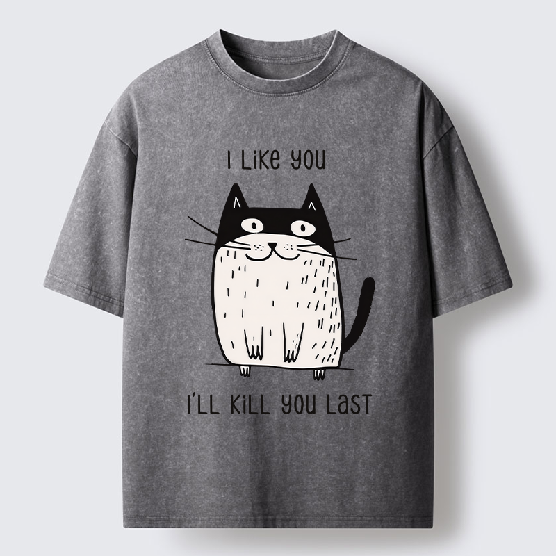 Tokyo-Tiger Cats Both Love And Hate Washed T-Shirt