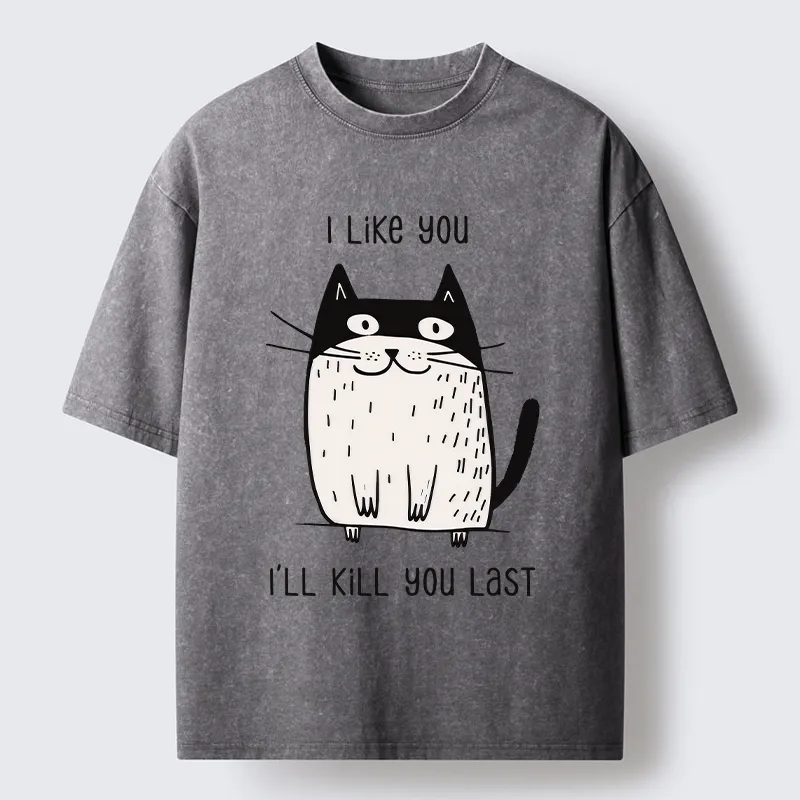 Tokyo-Tiger Cats Both Love And Hate Washed T-Shirt