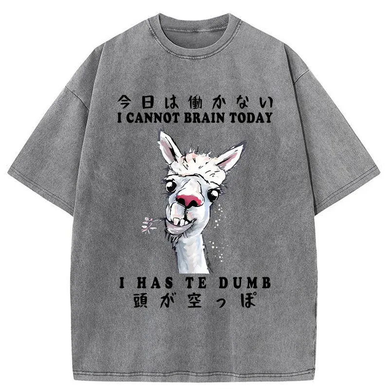 Tokyo-Tiger Empty-headed Alpaca Washed T-Shirt