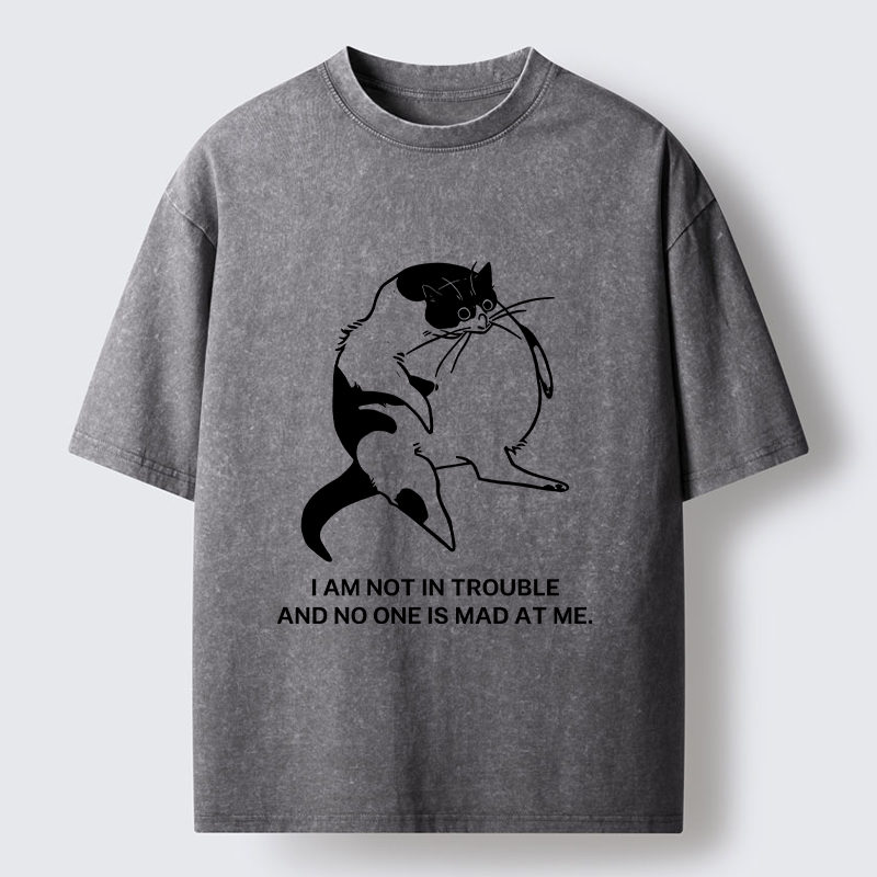 Tokyo-Tiger Introverted Kitten Japan Washed T-Shirt