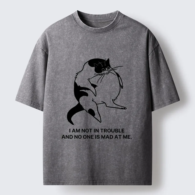 Tokyo-Tiger Introverted Kitten Japan Washed T-Shirt