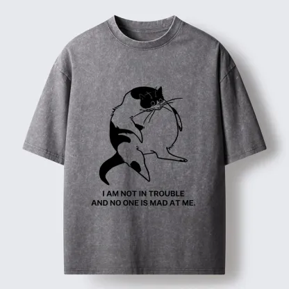 Tokyo-Tiger Introverted Kitten Japan Washed T-Shirt