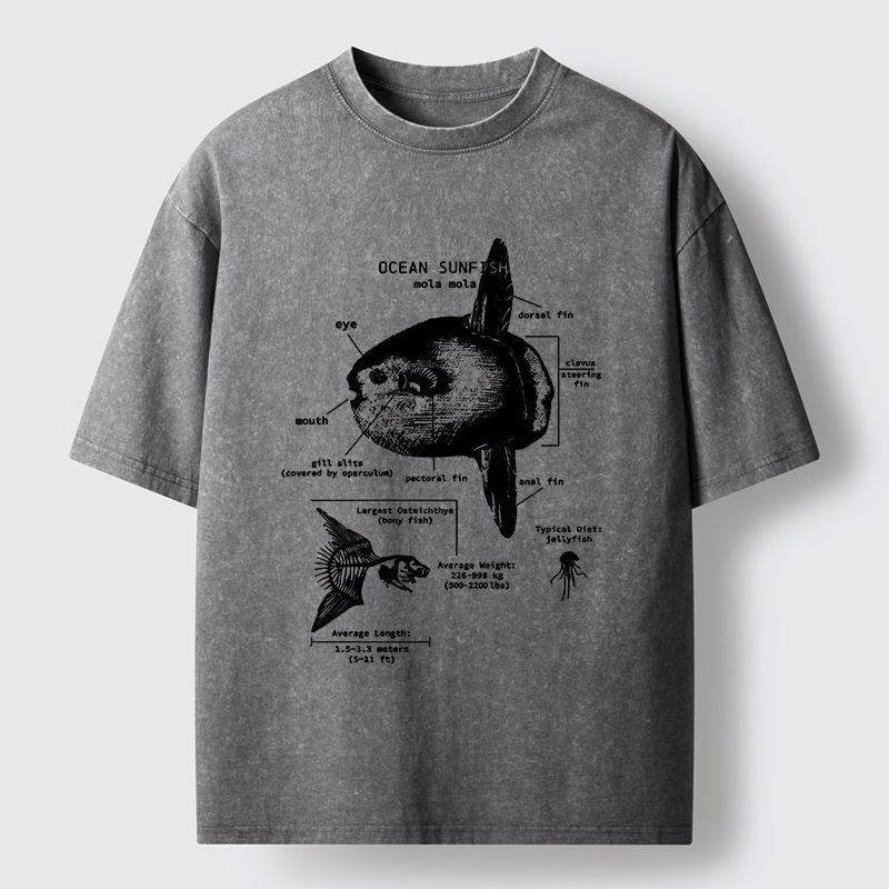 Tokyo-Tiger Sunfish Funny Washed T-Shirt