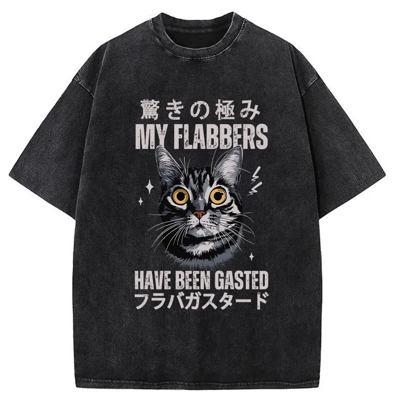 Tokyo-Tiger My Flabbers Have Been Gasted Washed T-Shirt