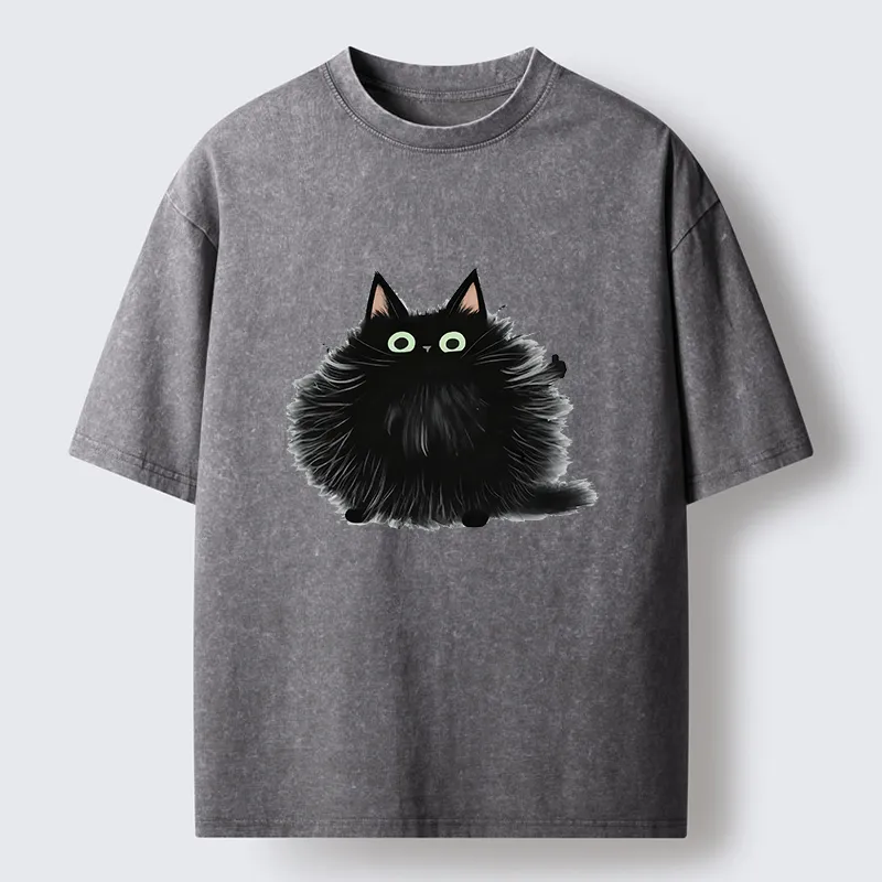Tokyo-Tiger Cat's Approval Washed T-Shirt