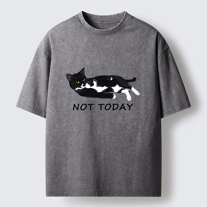 Tokyo-Tiger Cat Said Not Today Washed T-Shirt