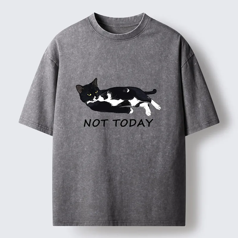 Tokyo-Tiger Cat Said Not Today Washed T-Shirt