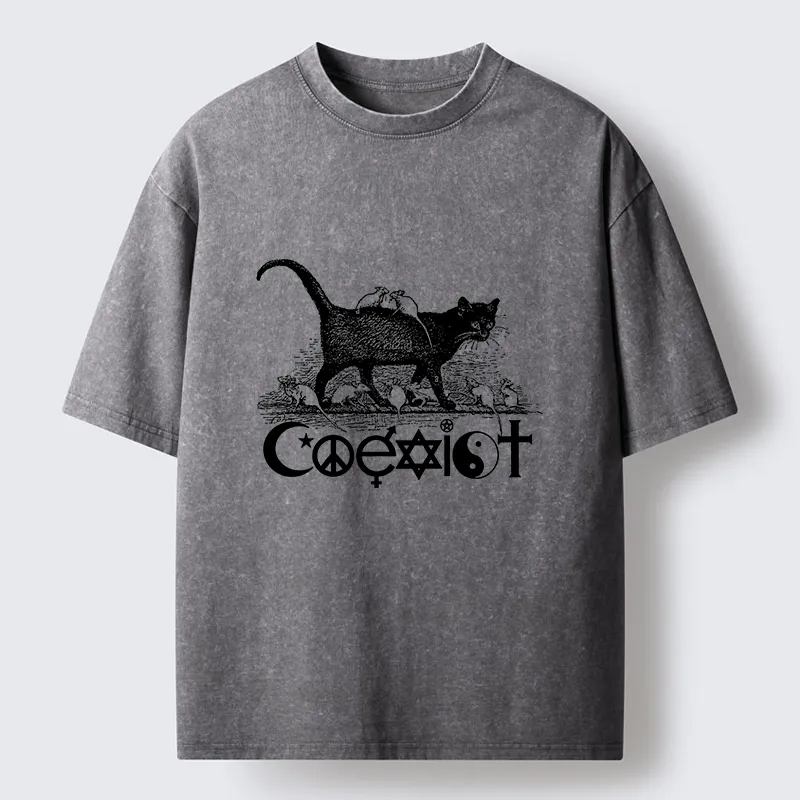 Tokyo-Tiger Coexist Funny Washed T-Shirt