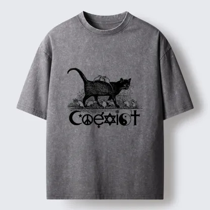 Tokyo-Tiger Coexist Funny Washed T-Shirt