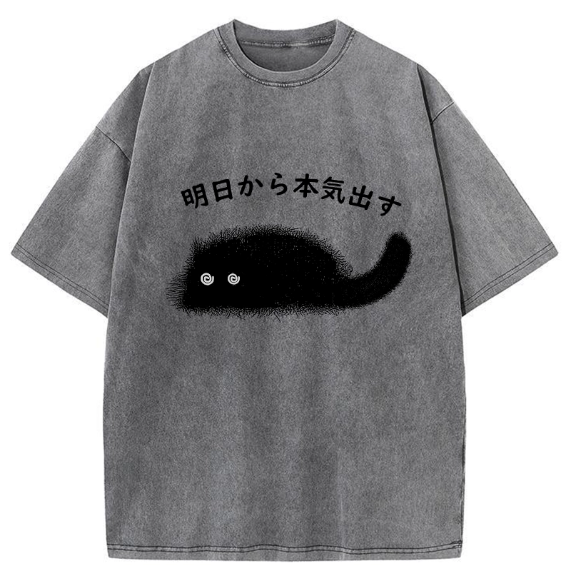 Tokyo-Tiger I'll Get Serious From Tomorrow Washed T-Shirt