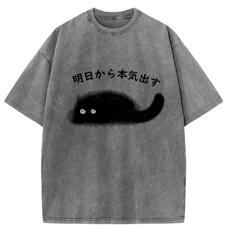 Tokyo-Tiger I'll Get Serious From Tomorrow Washed T-Shirt Sale