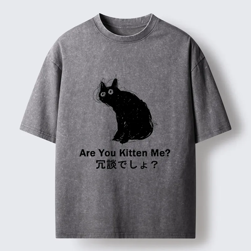 Tokyo-Tiger Are You Kitten Me Pun Art Washed T-Shirt