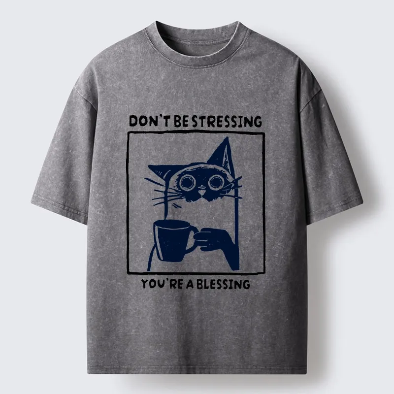Tokyo-Tiger Coffee Cat Blessing Meme Washed T-Shirt