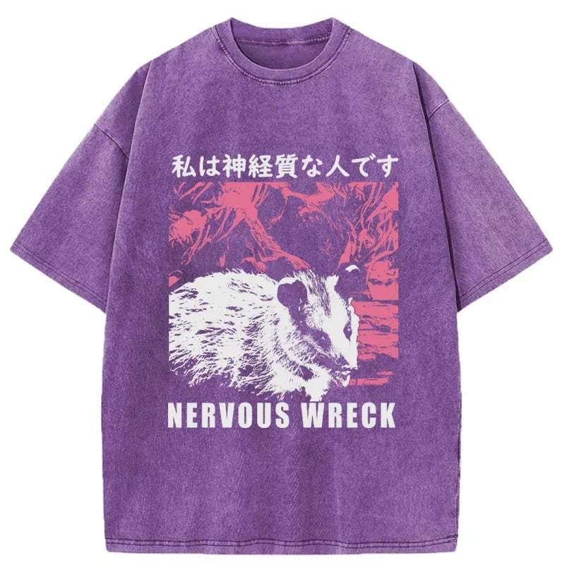 Tokyo-Tiger Nervous Wreck Washed T-Shirt
