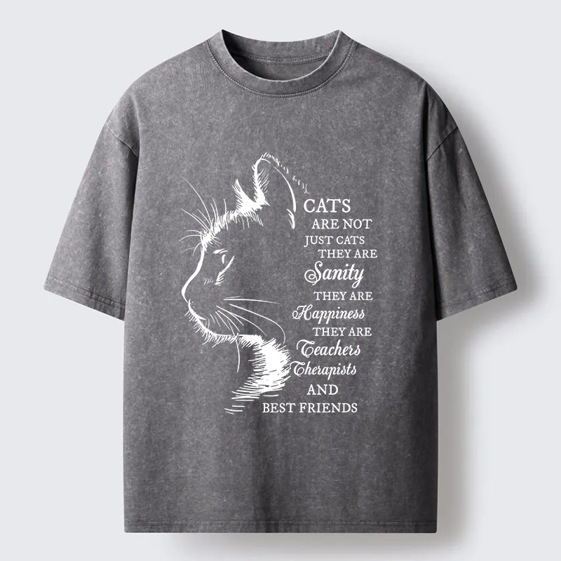 Tokyo-Tiger Cat Best Friend Washed T-Shirt