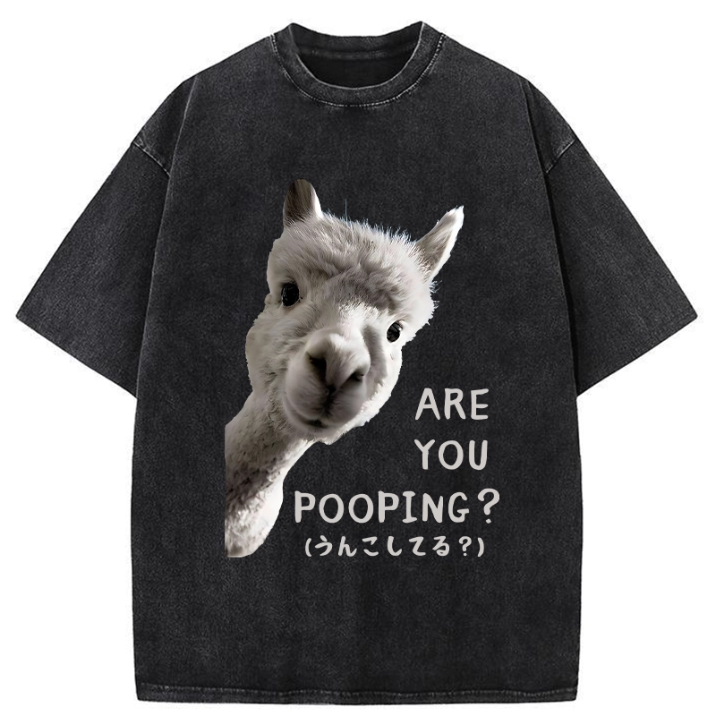 Tokyo-Tiger Are You Pooping Washed T-Shirt