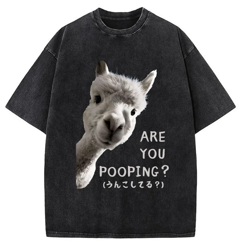 Tokyo-Tiger Are You Pooping Washed T-Shirt Sale