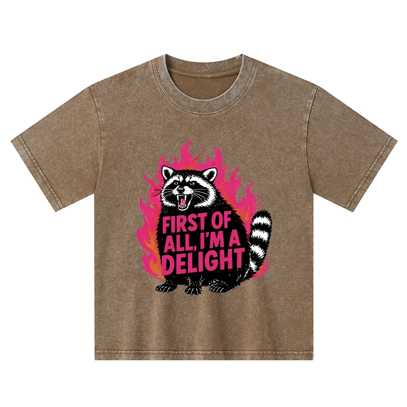 Tokyo-Tiger Angry Raccoon Funny Kids Washed T-Shirt