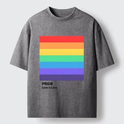 Tokyo-Tiger Pride Month Rainbow Flag Art Washed T-Shirt