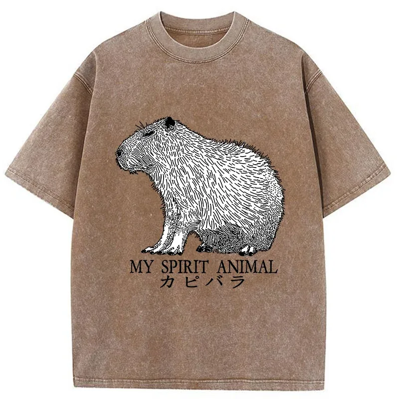 Tokyo-Tiger Capybara Spirit Washed T-Shirt