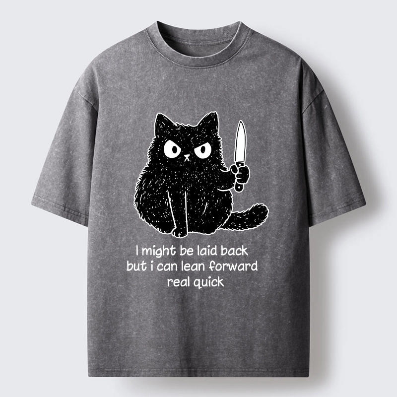 Tokyo-Tiger Dont Mess With This Cat Washed T-Shirt