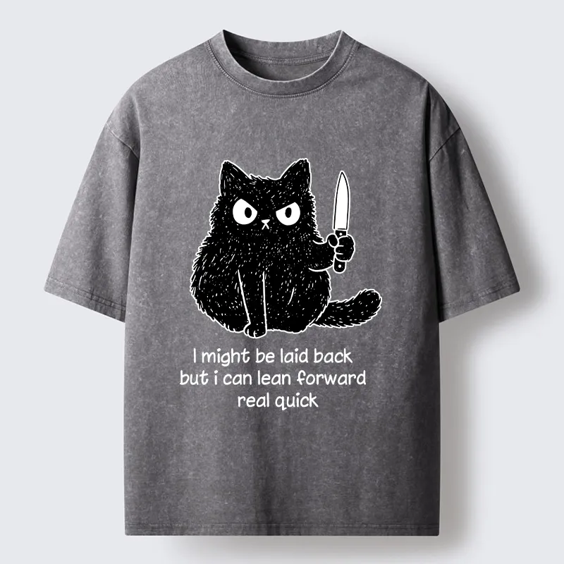 Tokyo-Tiger Dont Mess With This Cat Washed T-Shirt