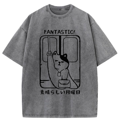 Tokyo-Tiger Great Monday Washed T-Shirt