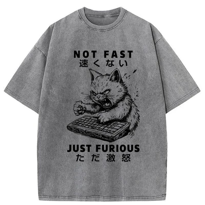 Tokyo-Tiger Not Fast Just Furious Washed T-Shirt