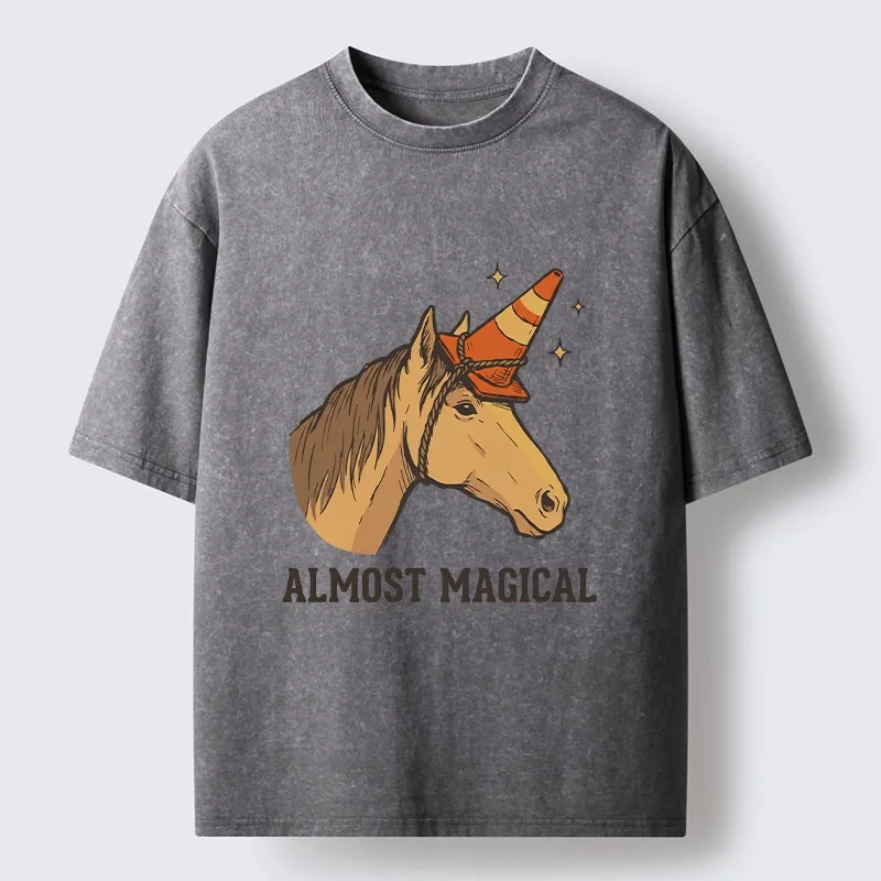 Tokyo-Tiger Silly Horse Trying To Be Magical Washed T-Shirt