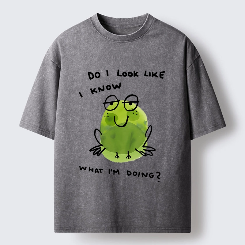Tokyo-Tiger Little Green Frog Has No Idea What’s Next Washed T-Shirt