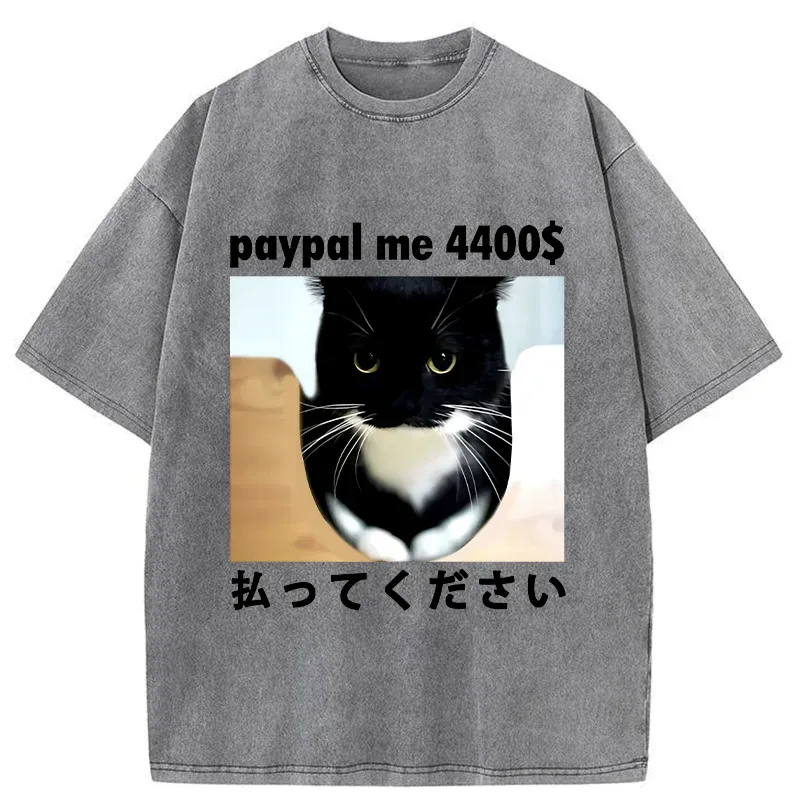 Tokyo-Tiger Please Give The Cat Money Washed T-Shirt