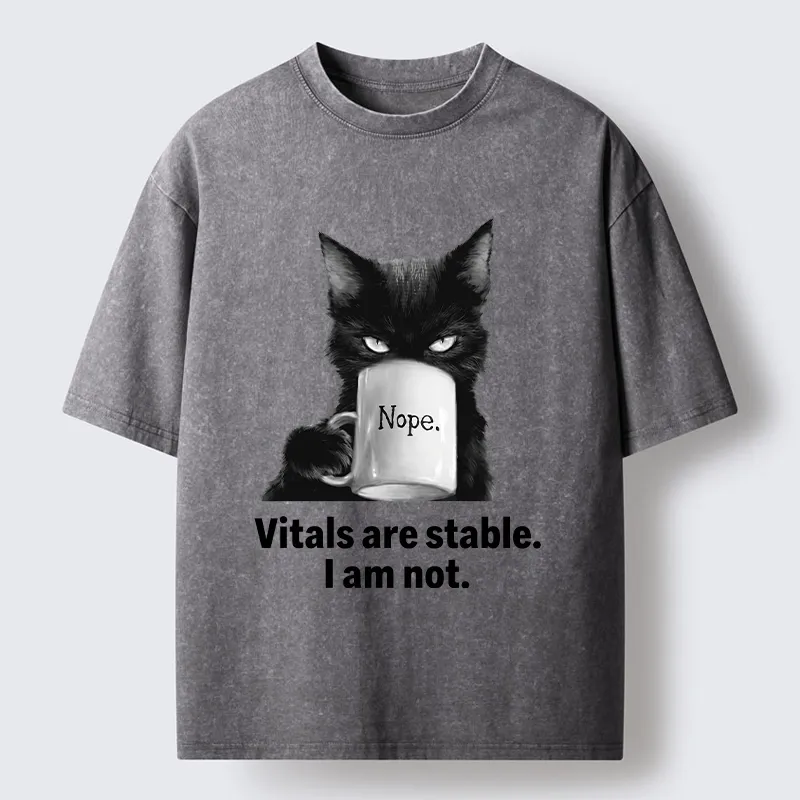 Tokyo-Tiger Grumpy Black Cat Coffee Meme Washed T-Shirt