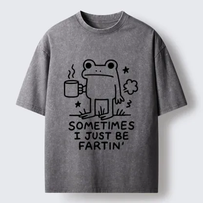 Tokyo-Tiger Sometimes A Frog Just Needs To Fart Washed T-Shirt
