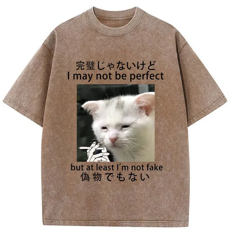 Tokyo-Tiger Cat Lamenting Life Washed T-Shirt