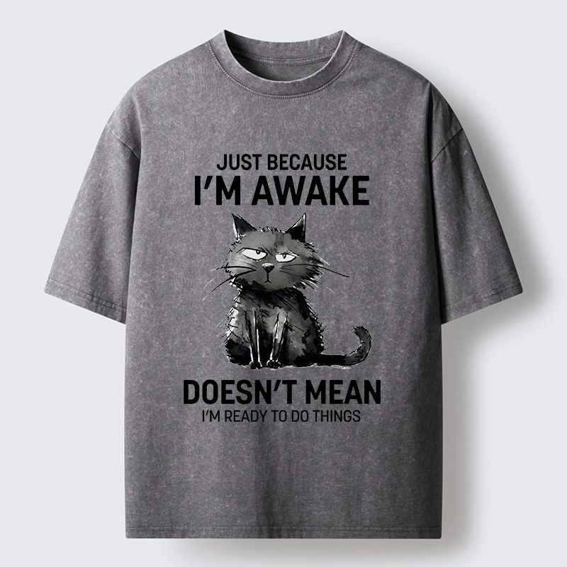 Tokyo-Tiger Grumpy Cat Not Ready To Do Things Washed T-Shirt