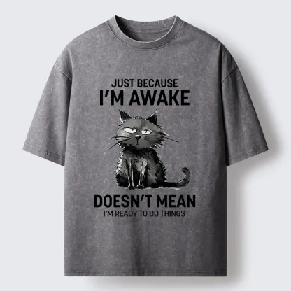 Tokyo-Tiger Grumpy Cat Not Ready To Do Things Washed T-Shirt